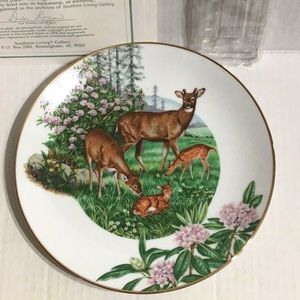 Collectible Plate